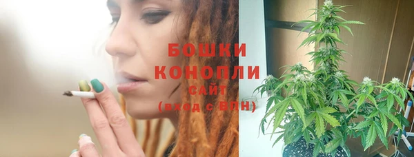 стафф Медвежьегорск
