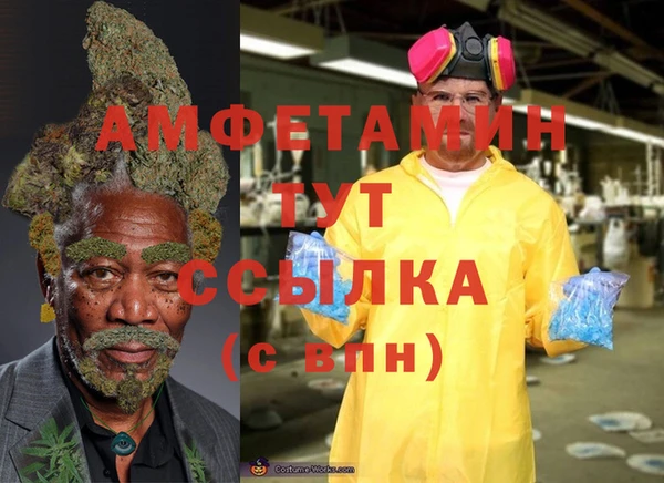гидра Медногорск