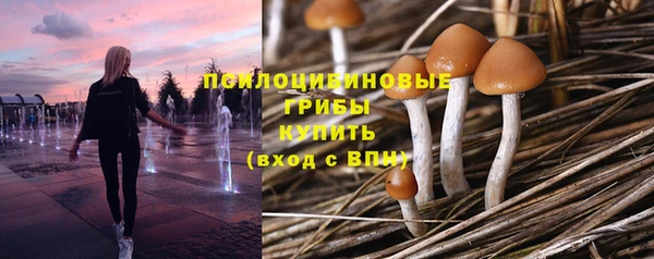спайс Мегион