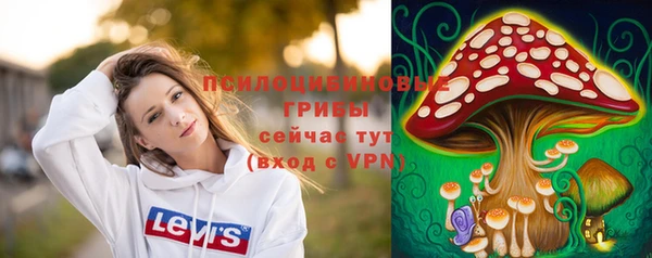 стафф Медвежьегорск