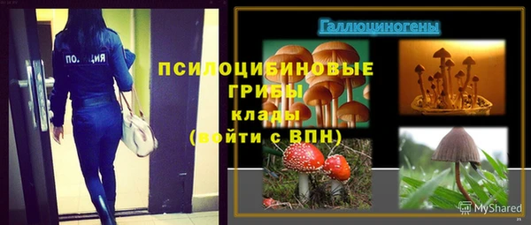 стафф Медвежьегорск